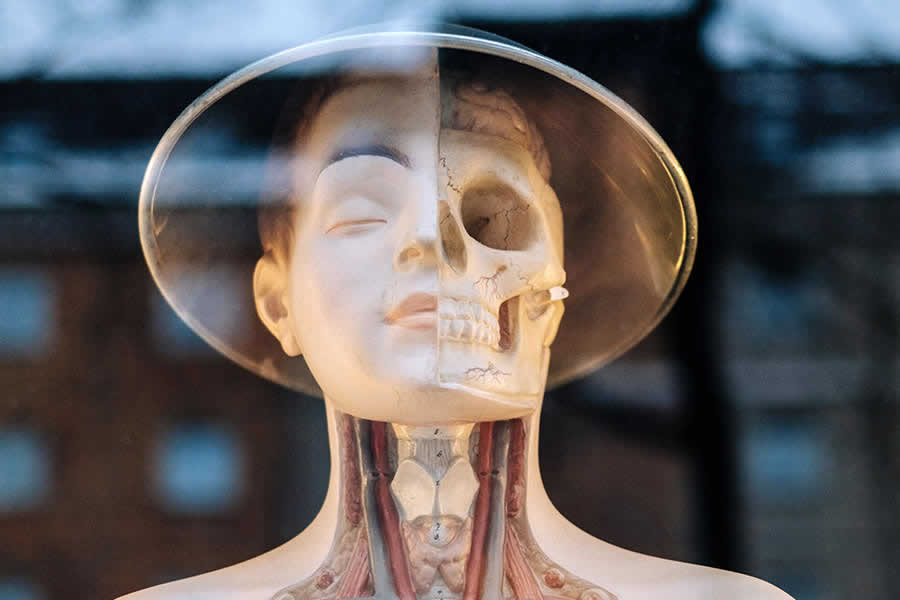 Distribución farmacéutica