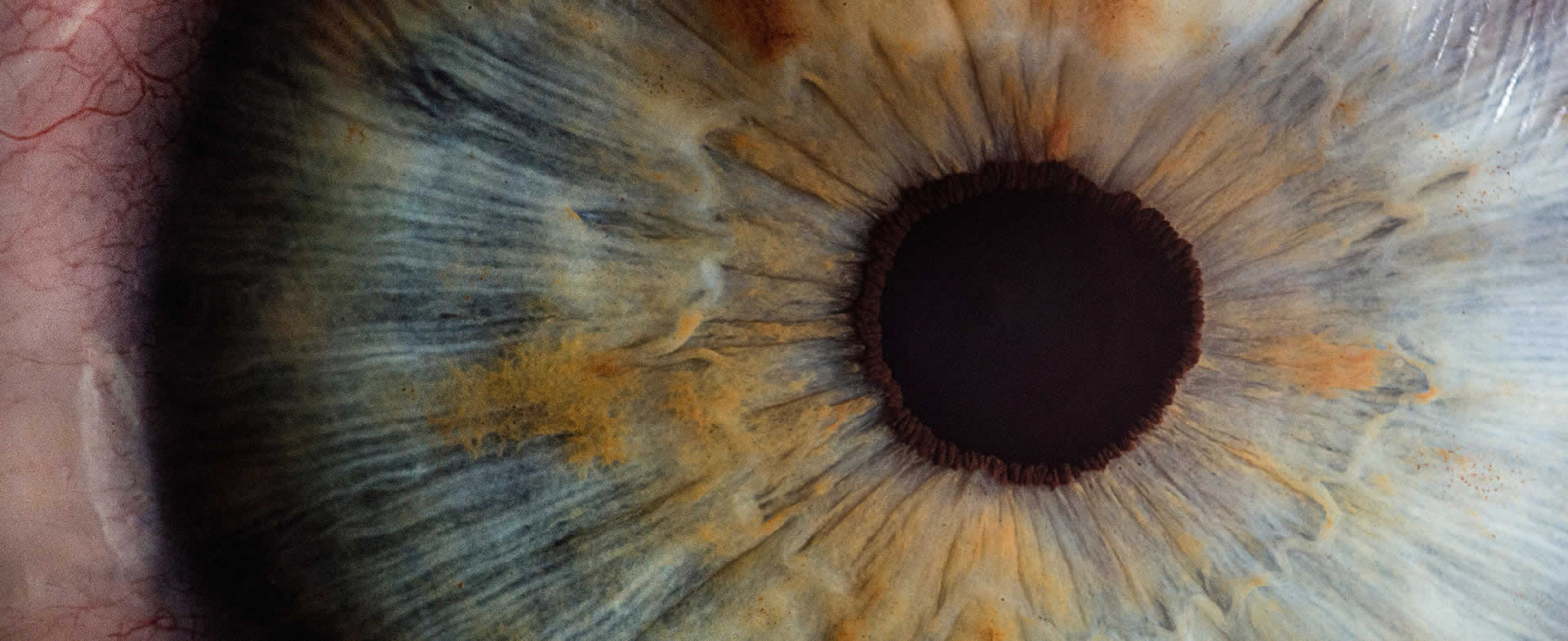 Variedad de productos farmacéuticos